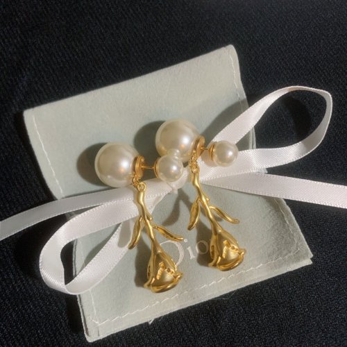 Dior Luxury Womens Earrings