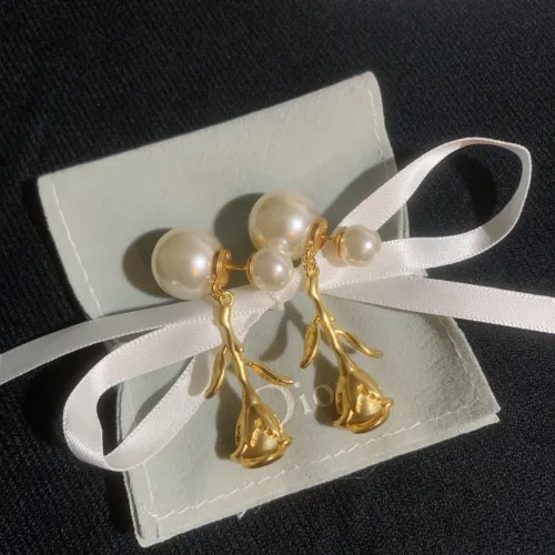 Dior Luxury Womens Earrings