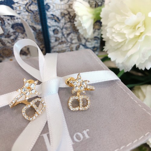 Dior Luxury Womens Earrings