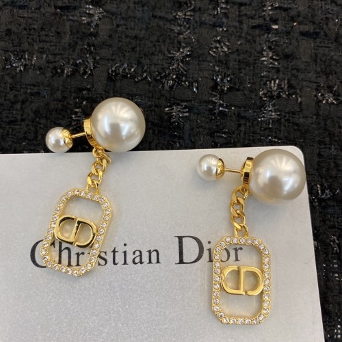 Dior Luxury Womens Earrings E1735