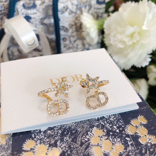 Dior Luxury Womens Earrings