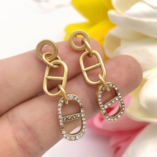 Dior Luxury Womens Earrings DED0264