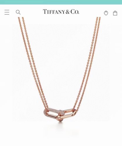 Tiffany Co Luxury Womens Necklace