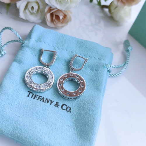 Tiffany Co Luxury Womens Earrings B806
