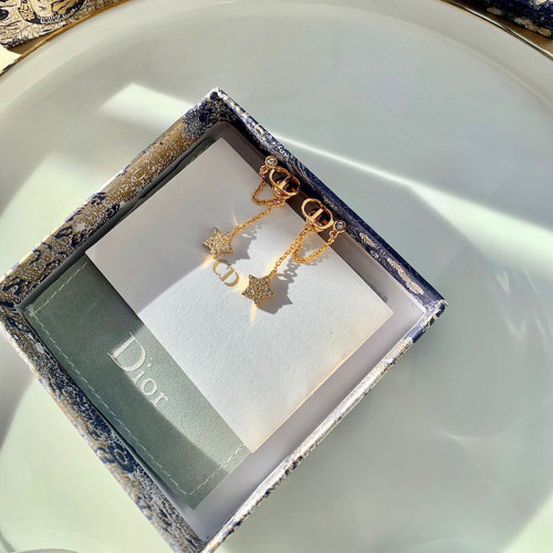 Dior Luxury Womens Earrings