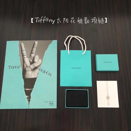 Tiffany Co Luxury Womens Necklace