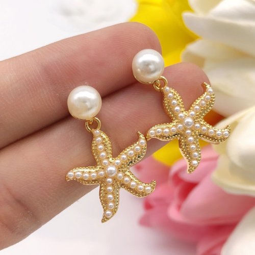 Dior Luxury Womens Earrings XED0504
