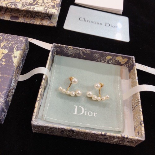Dior Luxury Womens Earrings
