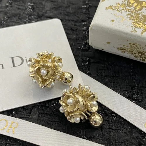 Dior Luxury Womens Earrings E1445