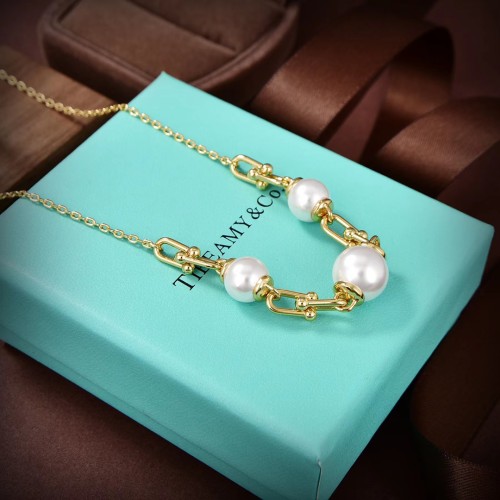Tiffany Co Luxury Womens Necklace