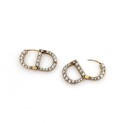 Dior Luxury Womens Earrings