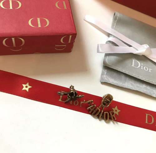 Dior Luxury Womens Earrings AA914