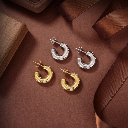 Bottega Veneta Luxury Womens Earrings