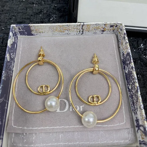 Dior Luxury Womens Earrings E1705