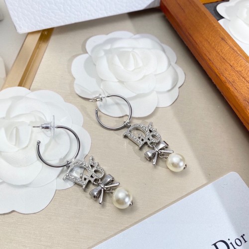 Dior Luxury Womens Earrings