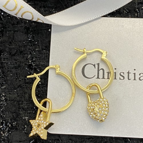 Dior Luxury Womens Earrings
