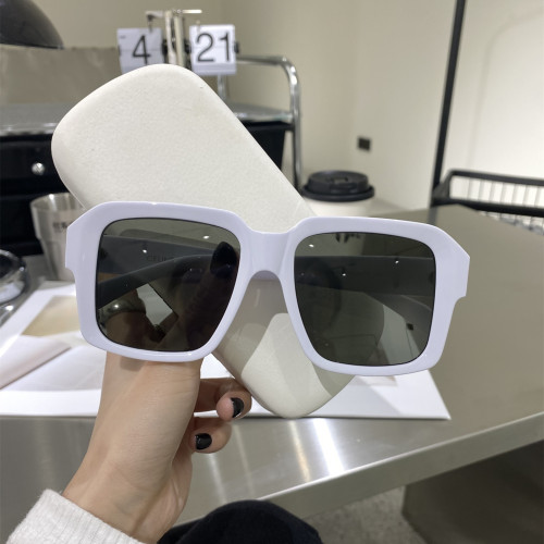 Celine Sunglasses Luxury Brand Womens Sunglasses with Original Box  CL4S490