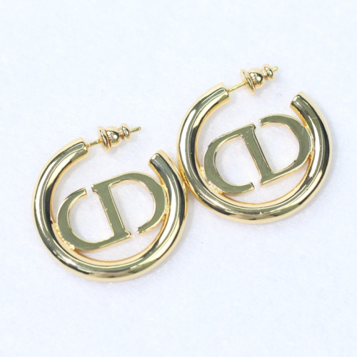 Dior Luxury Womens Earrings