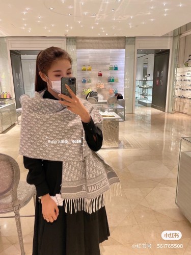 Dior Scarves Womens Fashion Scarf with097