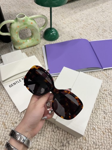 Celine Sunglasses Luxury Brand Womens Sunglasses with Original Box  CL40500