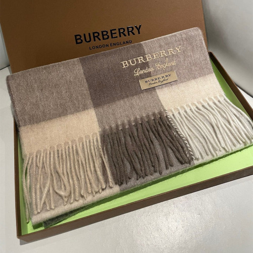 Burberry Scarves Womens Fashion Scarf245