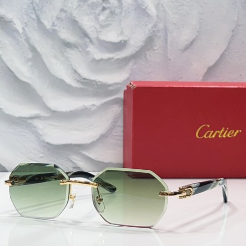 Cartier Sunglasses Luxury Brand Men Womens Sunglasses with Original Box  CT0439S