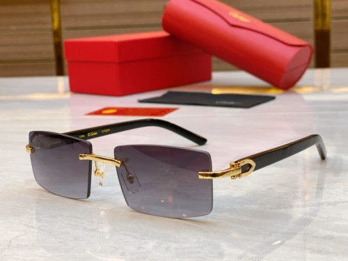 Cartier Sunglasses Luxury Brand Men Womens Sunglasses with Original Box  CT0272
