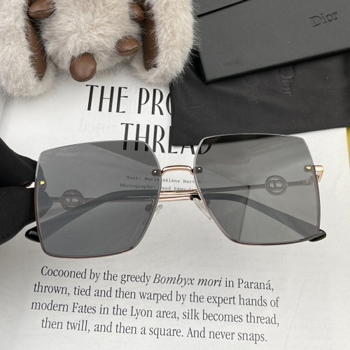 Dior Sunglasses Luxury Brand Womens Sunglasses with Original Box  CD7371