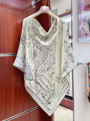 Dior Scarves Womens Fashion Scarf with013
