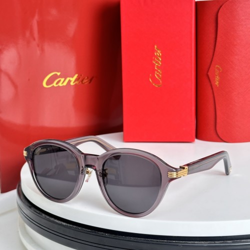 Cartier Sunglasses Luxury Brand Men Womens Sunglasses with Original Box  CT 0395S