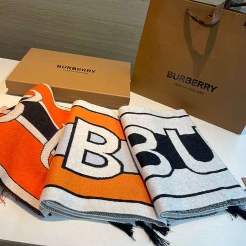 Burberry Scarves Womens Fashion Scarf055