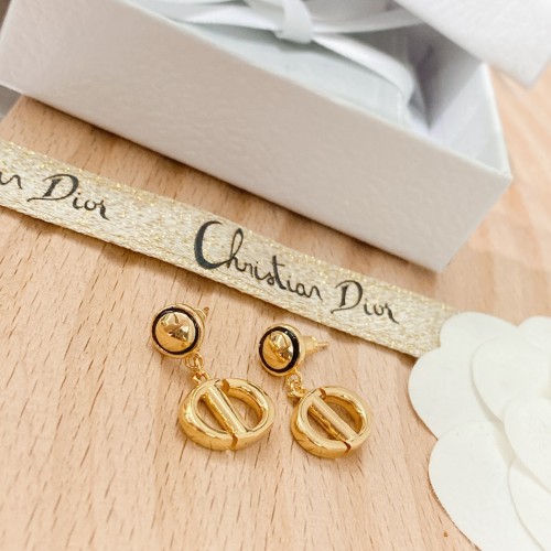 Dior Luxury Womens Earrings