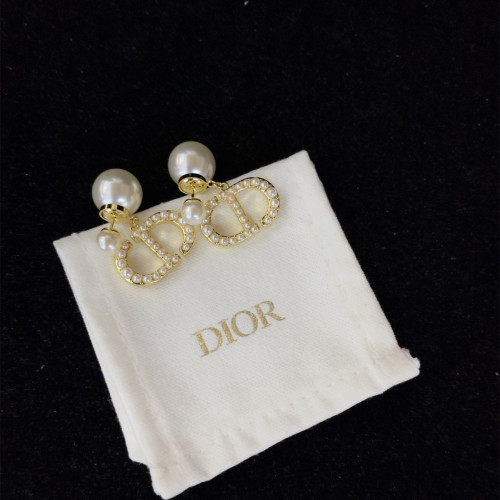 Dior Luxury Womens Earrings