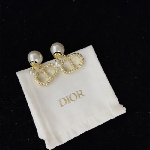Dior Luxury Womens Earrings