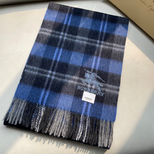 Burberry Scarves Womens Fashion Scarf096