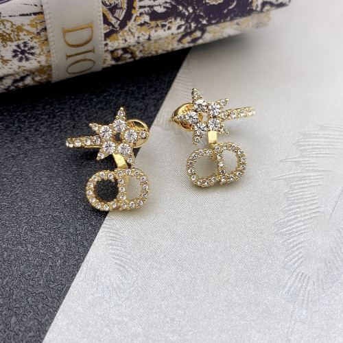 Dior Luxury Womens Earrings