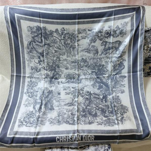 Dior Scarves Womens Fashion Scarf with035