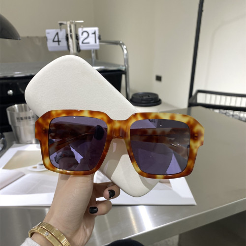 Celine Sunglasses Luxury Brand Womens Sunglasses with Original Box  CL4S490