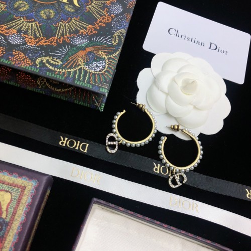 Dior Luxury Womens Earrings