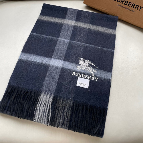 Burberry Scarves Womens Fashion Scarf261