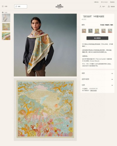 Hermes Scarves Womens Fashion Scarf Shawl 252
