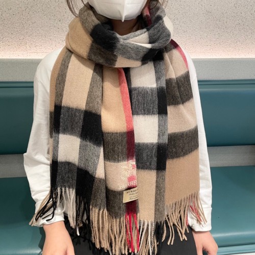 Burberry Scarves Womens Fashion Scarf194