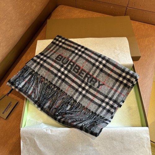 Burberry Scarves Womens Fashion Scarf082