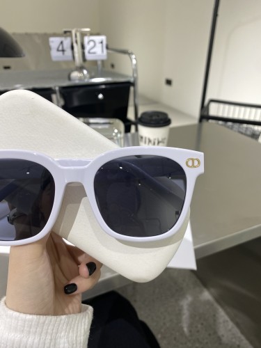 Dior Sunglasses Luxury Brand Womens Sunglasses with Original Box  8069