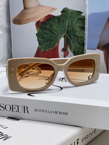 Dior Sunglasses Luxury Brand Womens Sunglasses with Original Box  DIORPACIFIC S1U
