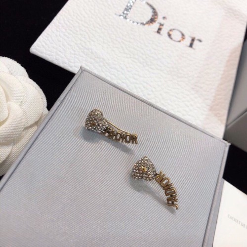 Dior Luxury Womens Earrings
