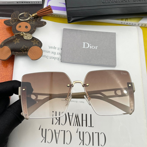 Dior Sunglasses Luxury Brand Men Womens Sunglasses with Original Box  CD6971