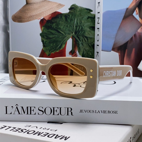 Dior Sunglasses Luxury Brand Womens Sunglasses with Original Box  DIORPACIFIC S1U