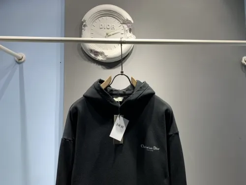 Dior Womens Mens Hoodies Sweatshirt Luxury Brand Mens Hoodie   