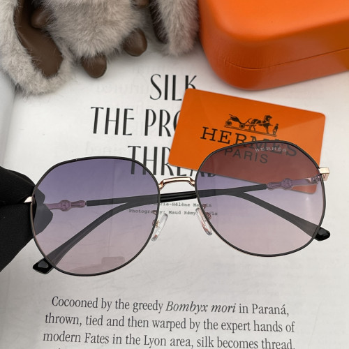 Hermes Sunglasses Luxury Brand Womens Sunglasses with Original Box  H3821